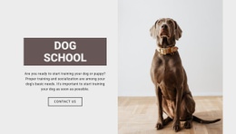 Dog Professional School Adoption Centers