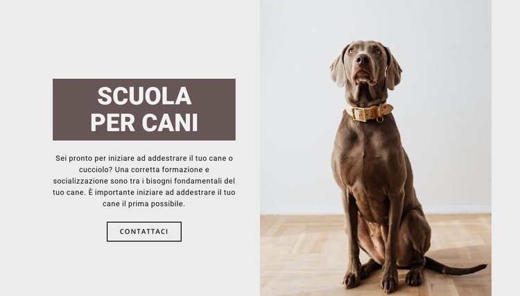 Scuola professionale per cani Modello