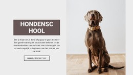 Professionele Hondenschool HTML-Sjabloon