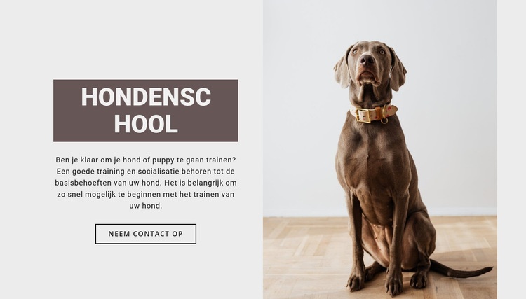Professionele hondenschool HTML-sjabloon
