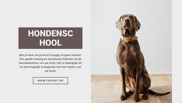Professionele hondenschool Website Builder-sjablonen