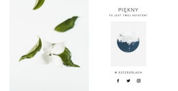 Funkcjonalność Układu Dla Piękne Obrazy Natury