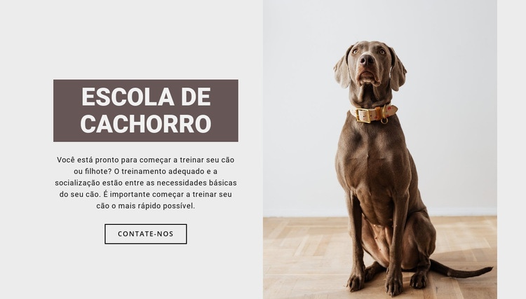 Escola profissional de cães Design do site