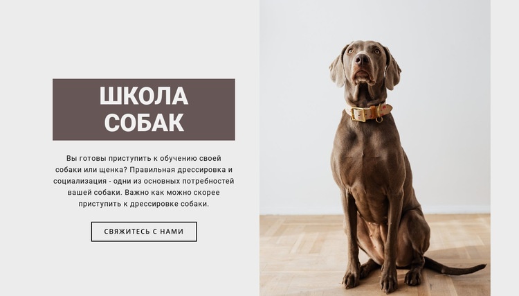 Профессиональная школа собак Мокап веб-сайта