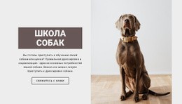 Профессиональная Школа Собак – Красивая Тема WordPress