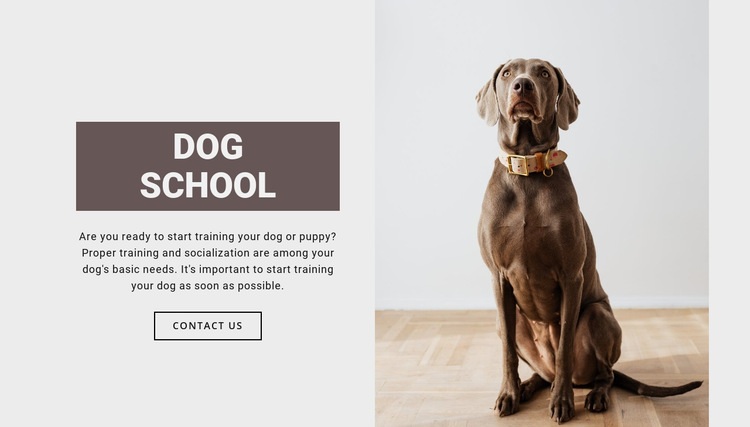 Dog professional school Squarespace Template Alternative
