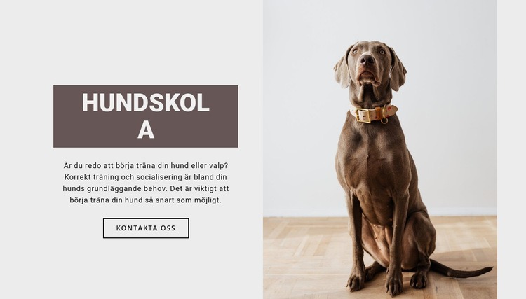 Hundproffsskola WordPress -tema