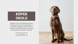 Köpek Meslek Okulu Şablon HTML CSS Duyarlı