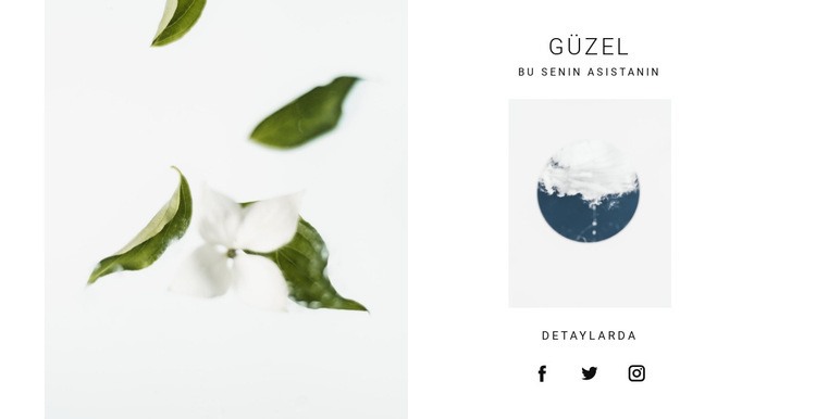 Doğa güzel görüntüler CSS Şablonu