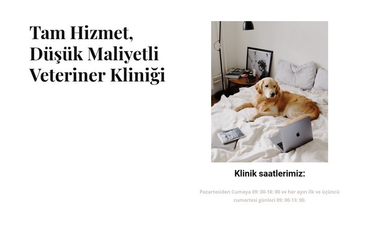 Tam hizmet veteriner kliniği WordPress Teması