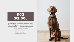 Dog Professional School - Beautiful WordPress Theme