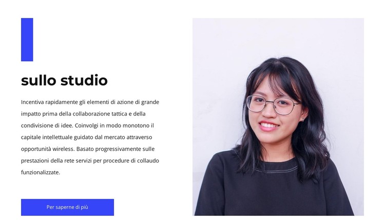 Vista studio Modello CSS