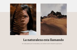 Inspiración Del Sitio Web Para El Paisaje Desértico