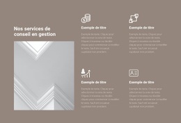 Services De Conseil En Gestion - Maquette De Conception Web