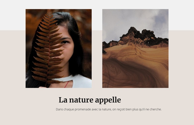 Le paysage désertique Maquette de site Web