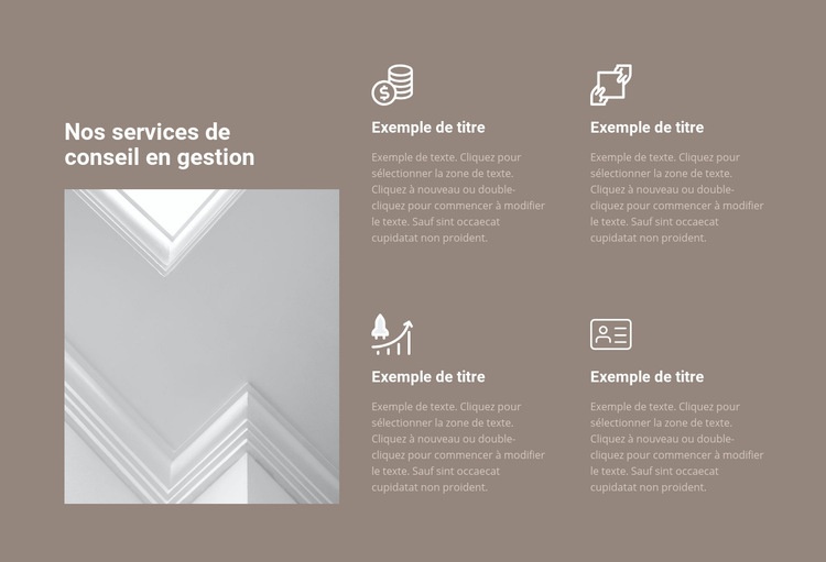 Services de conseil en gestion Modèle d'une page