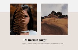 Multifunctioneel WordPress-Thema Voor Het Woestijnlandschap