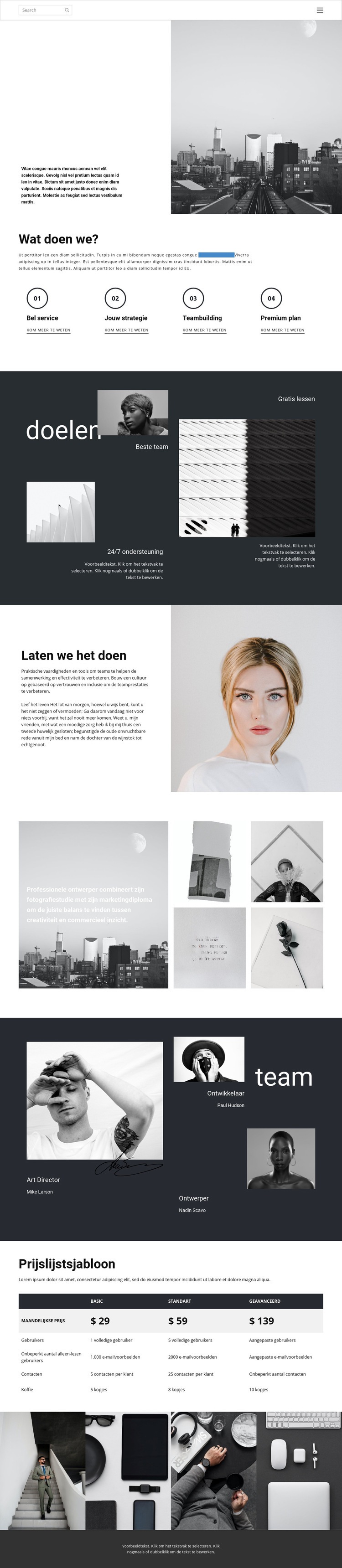 Bedrijfspromotiebureau Website ontwerp