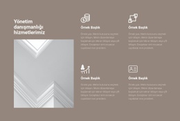 Herhangi Bir Cihaz Için WordPress Teması Yönetim Danışmanlığı Hizmetleri