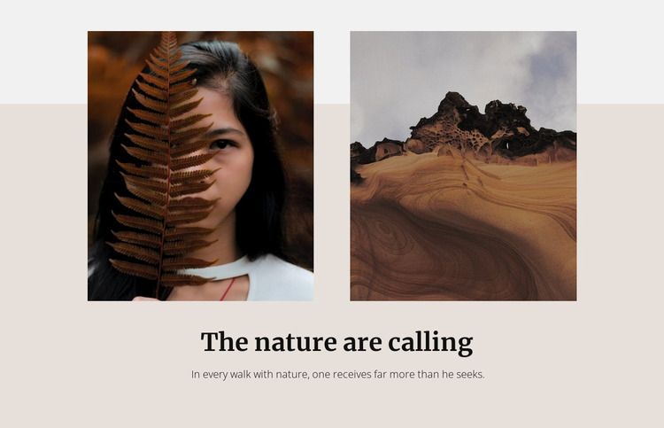 The desert landscape Website Mockup