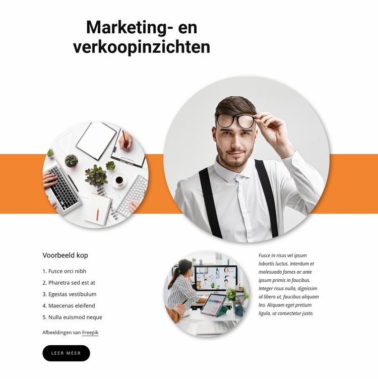 Verkoopinzichten Website mockup