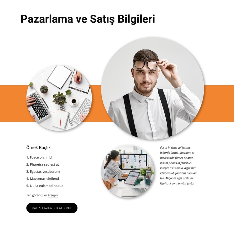 Satış bilgileri Web Sitesi Şablonu