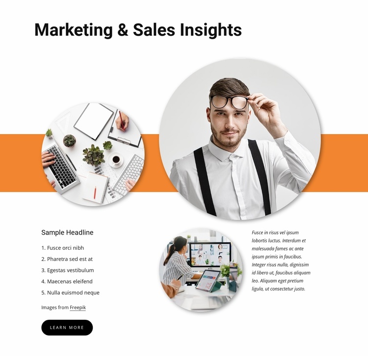 Sales insights Website Template