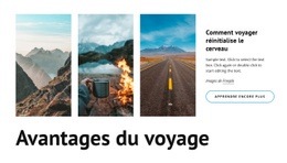 Comment Les Voyages Changent Votre Cerveau - Conception De Site Web Simple