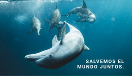 Salvar El Océano: Plantilla De Sitio Web Joomla