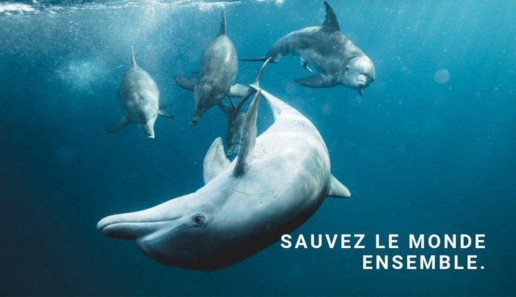 Sauvez l'océan Conception de site Web