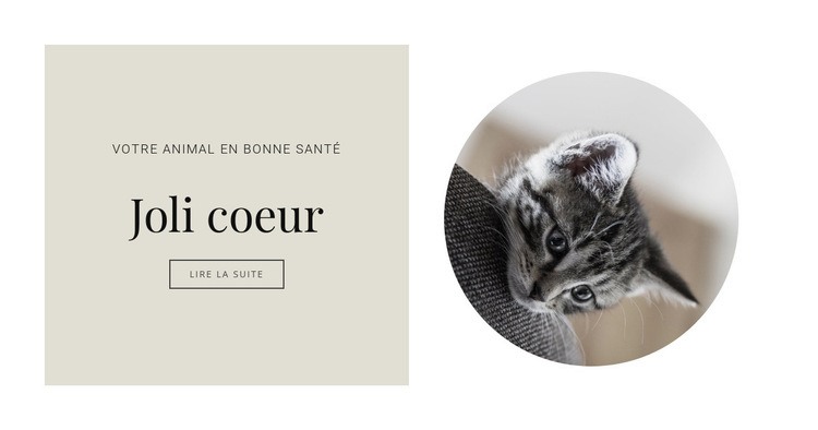 Traiter les animaux Conception de site Web