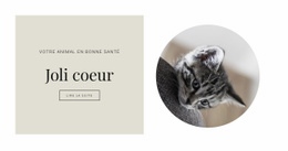 Traiter Les Animaux - HTML Site Builder