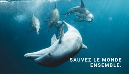 Sauvez L'Océan – Maquette De Site Web Par Glisser-Déposer