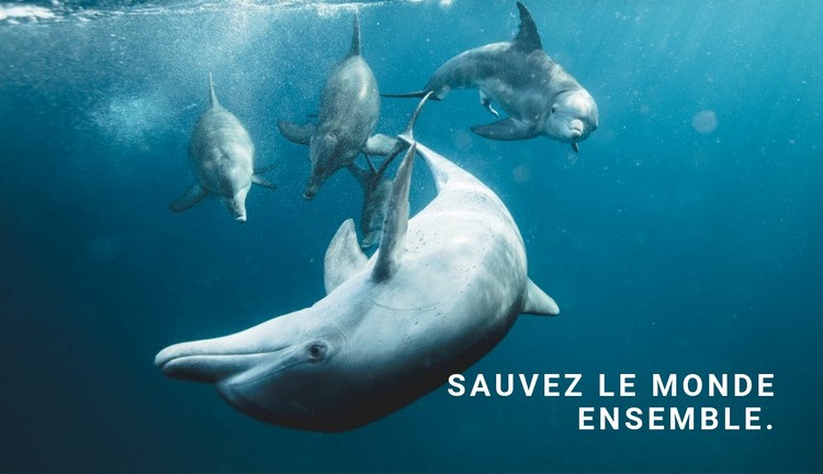 Sauvez l'océan Maquette de site Web