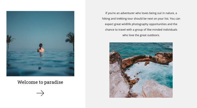 Uncharted paradise land Homepage Design