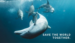Save the ocean - Html Code Example by Nicepage