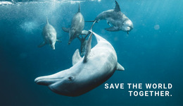 The Best HTML5 Template For Save The Ocean