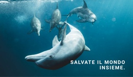 Salva L'Oceano - Modello Di Pagina HTML