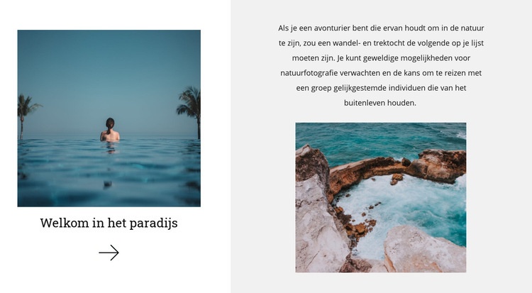 Paradijsland Website ontwerp