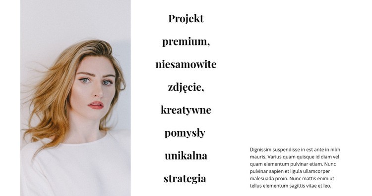 Projekt i kreatywne pomysły Motyw WordPress