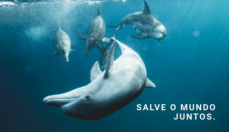 Salve o oceano Maquete do site