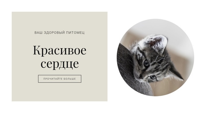 Лечение домашних животных Мокап веб-сайта