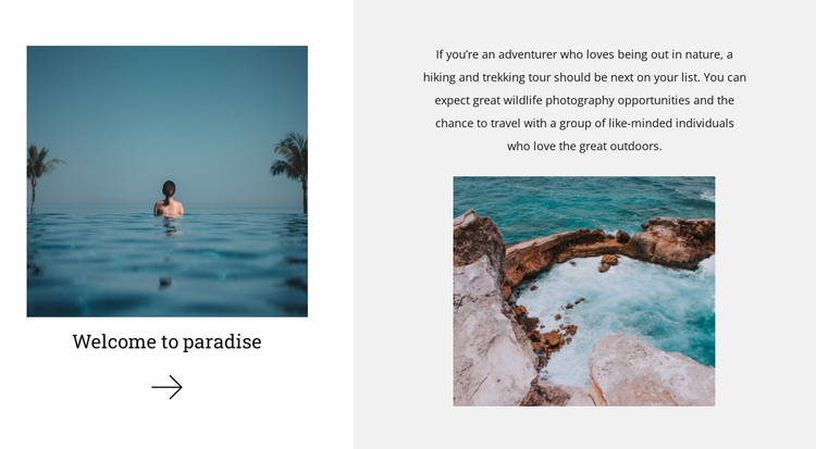 Uncharted paradise land Website Design