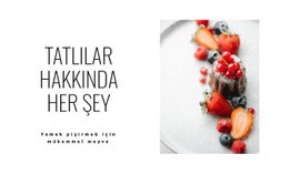 Tatlılar Hakkında Her Şey - Duyarlı WordPress Teması