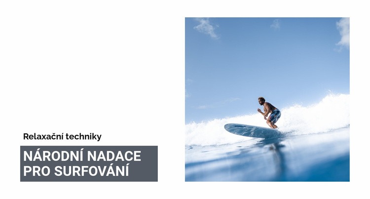 Národní nadace pro surfování Šablona webové stránky