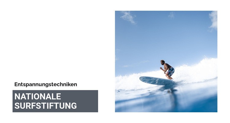 Nationale Surfstiftung Website-Modell