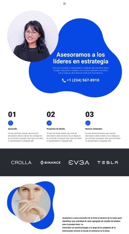 Creador De Sitios Web Gratuito Para Promoción De Tu Propio Negocio.