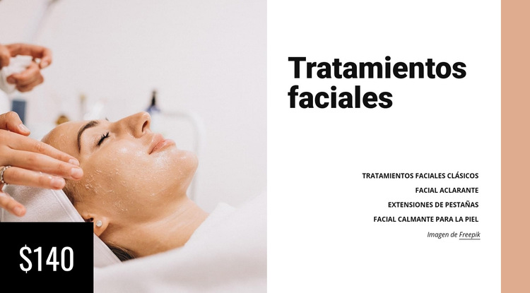 Tratamientos faciales Plantilla de sitio web
