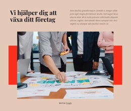 Marknadsföring Och Försäljning