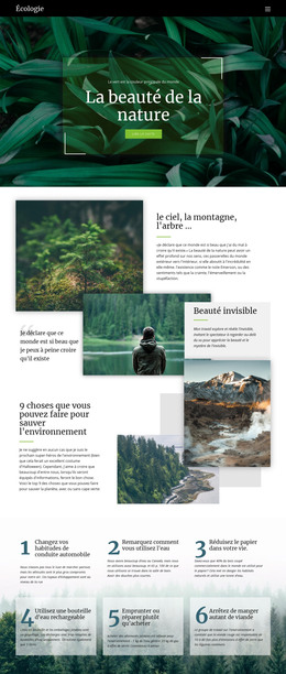 Ciel Et Beauté De La Nature - Modèle De Page HTML